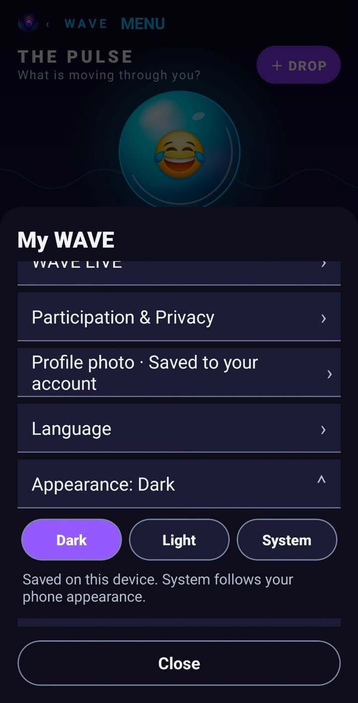WAVE settings in the dark appearance, with Appearance set to Dark and the options Dark, Light and System.